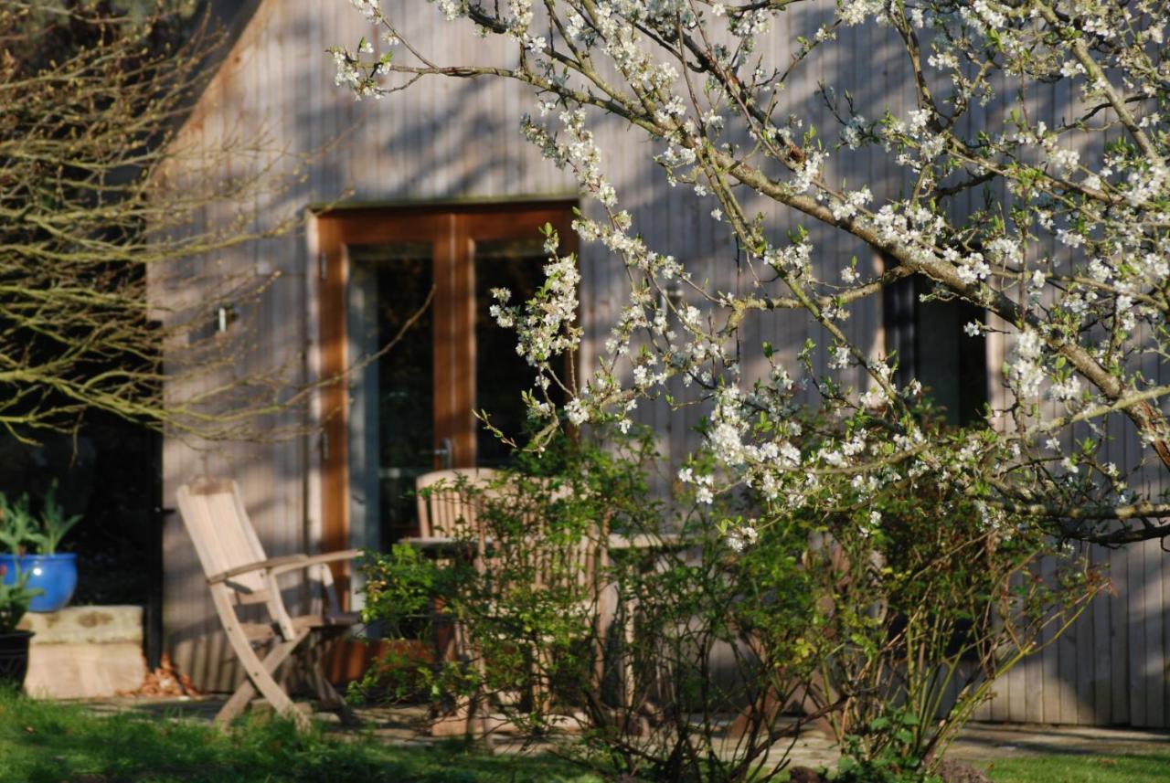 Garden Studio Spring Cottage Teffont Magna Exterior photo